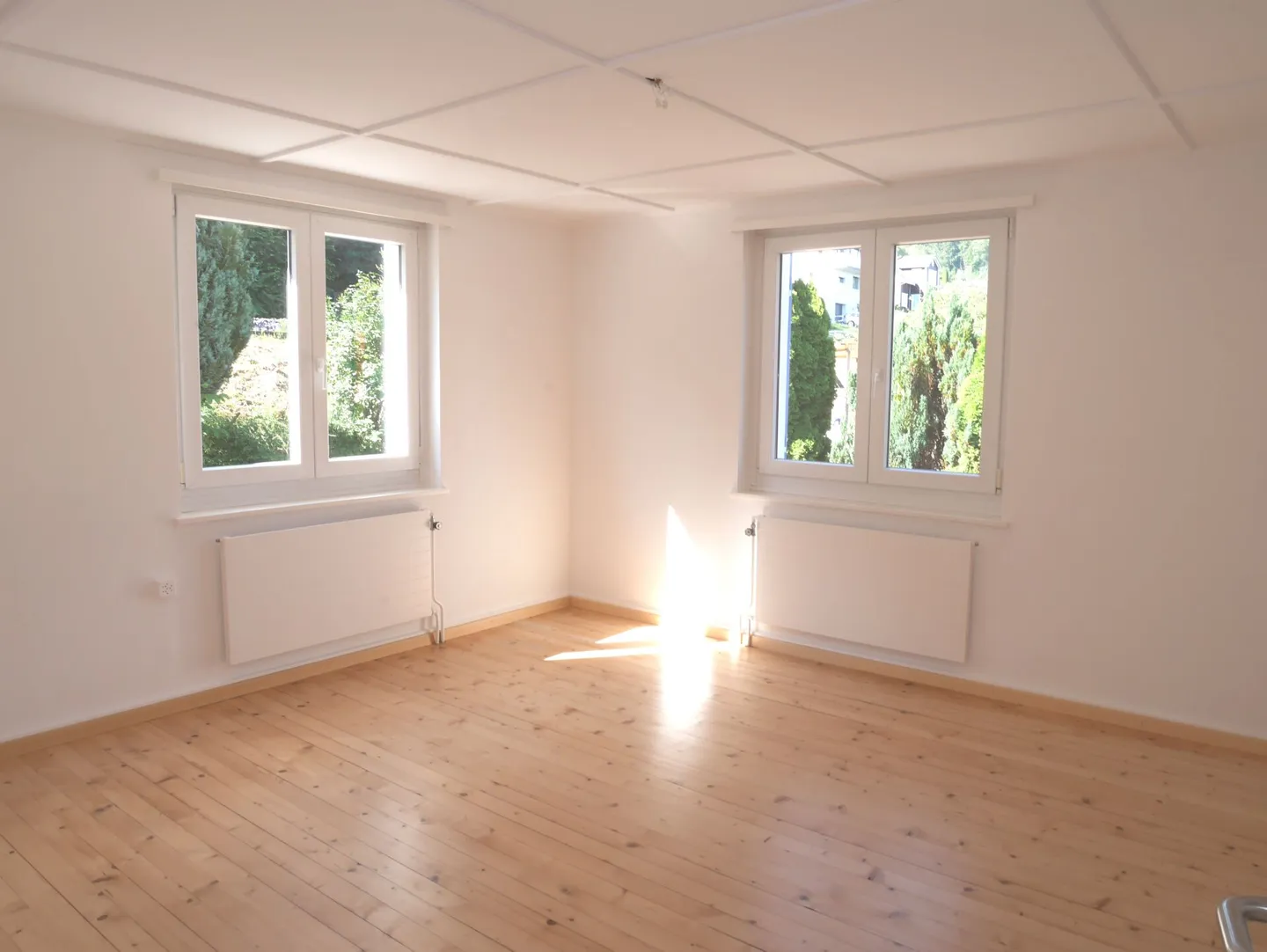 Bella casa unifamiliare con vista sul lago Untersee - Foto 4 di 8