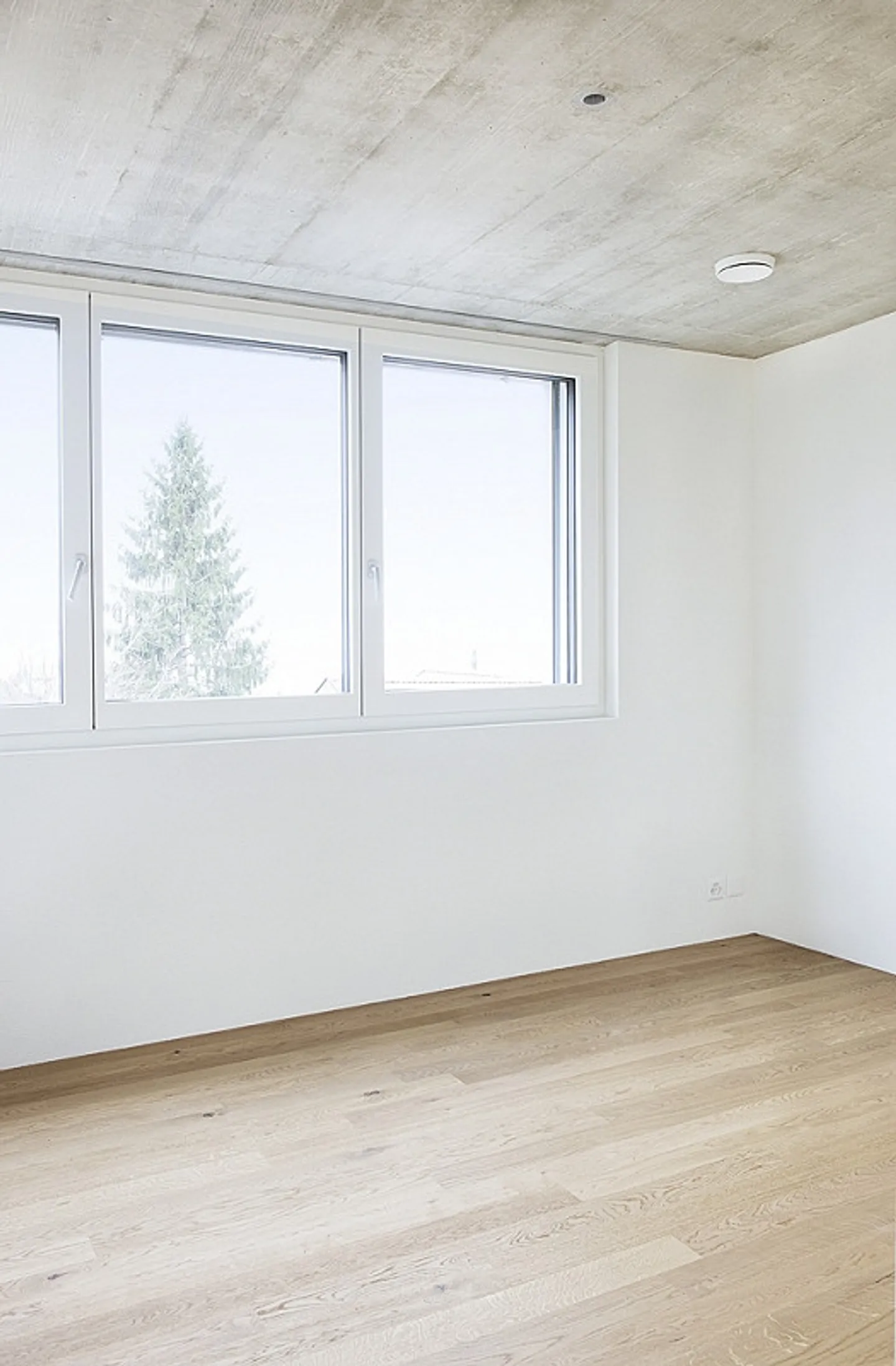 Preisgünstige Wohnung Zentrumsnah - Foto 6 von 7