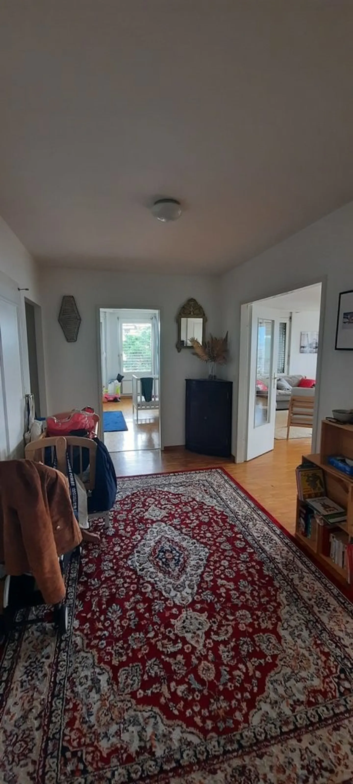 Spacious Apartment with Rhône View - Photo 2 of 10