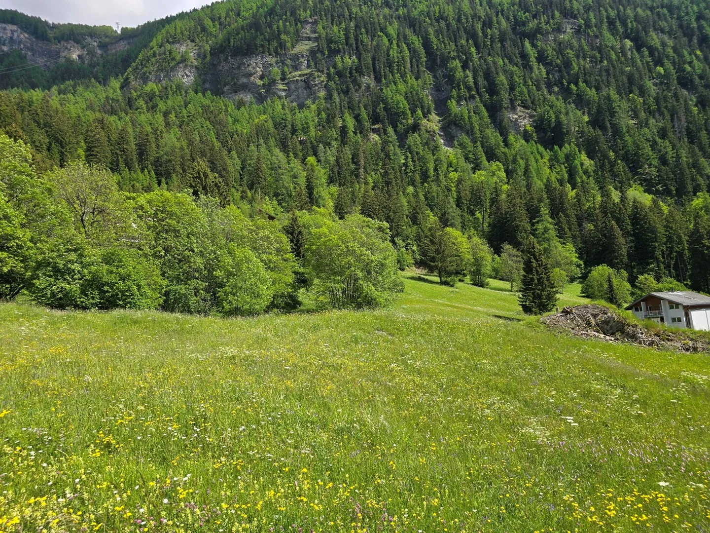 Terreno edificabile - 953 M2 - Leukerbad - Ref. 10245442 - Foto 3 di 5