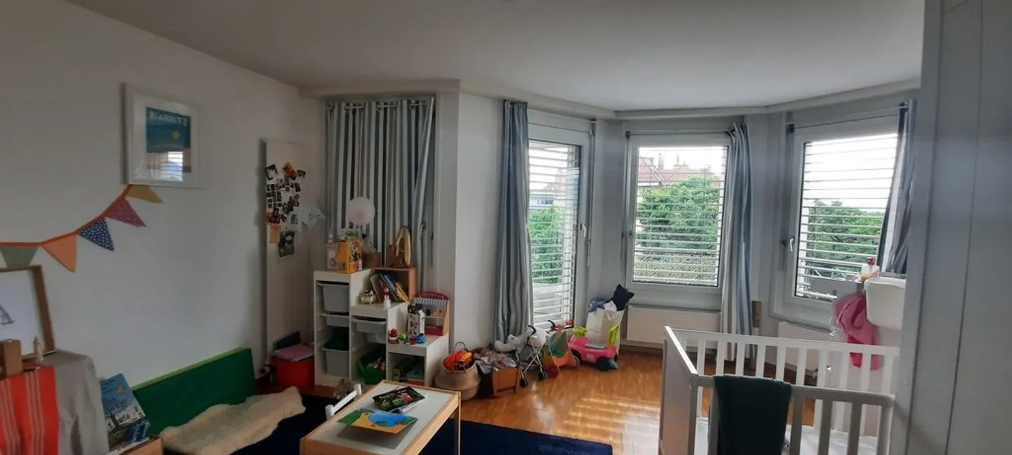 Spacious Apartment with Rhône View - Photo 6 of 10
