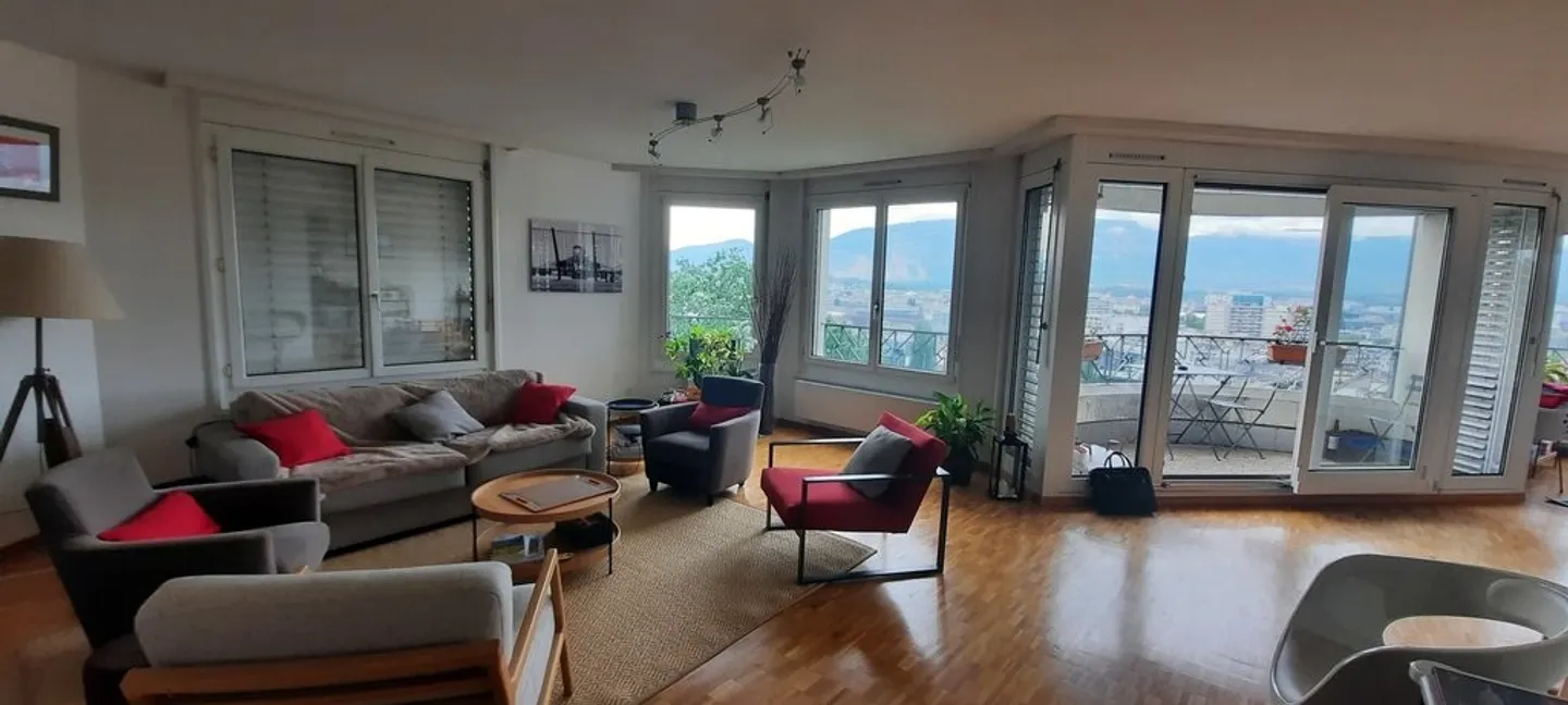 Spacious Apartment with Rhône View - Photo 3 of 10