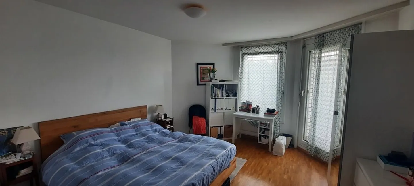 Spacious Apartment with Rhône View - Photo 5 of 10