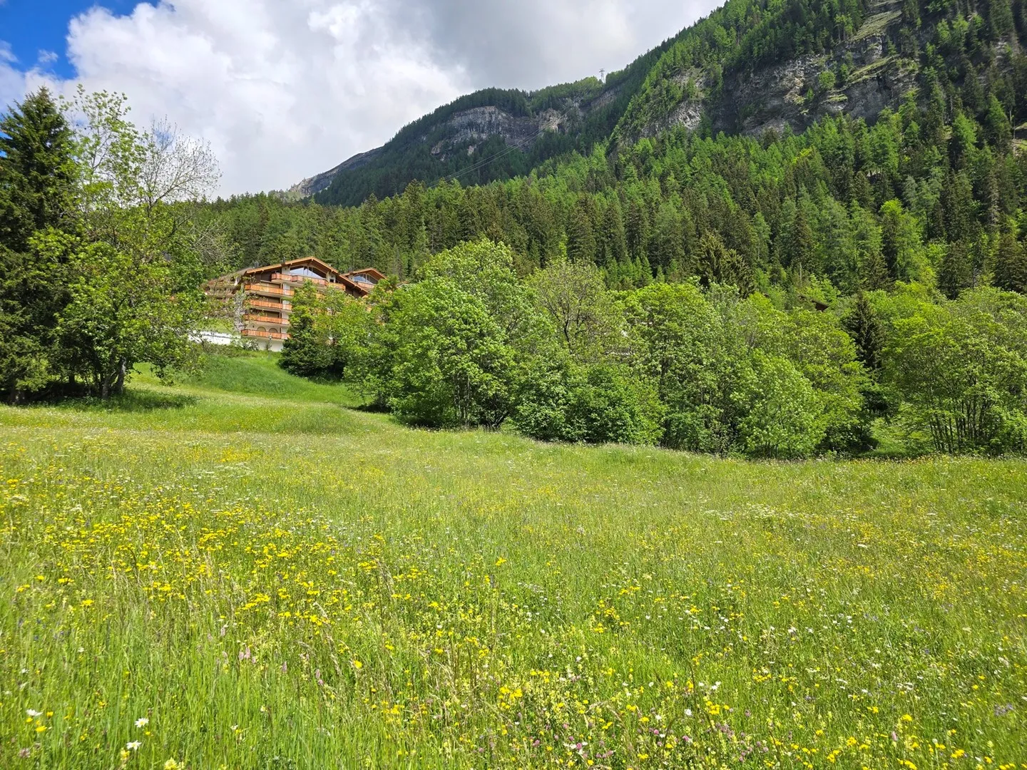 Terreno edificabile - 953 M2 - Leukerbad - Ref. 10245442 - Foto 2 di 5