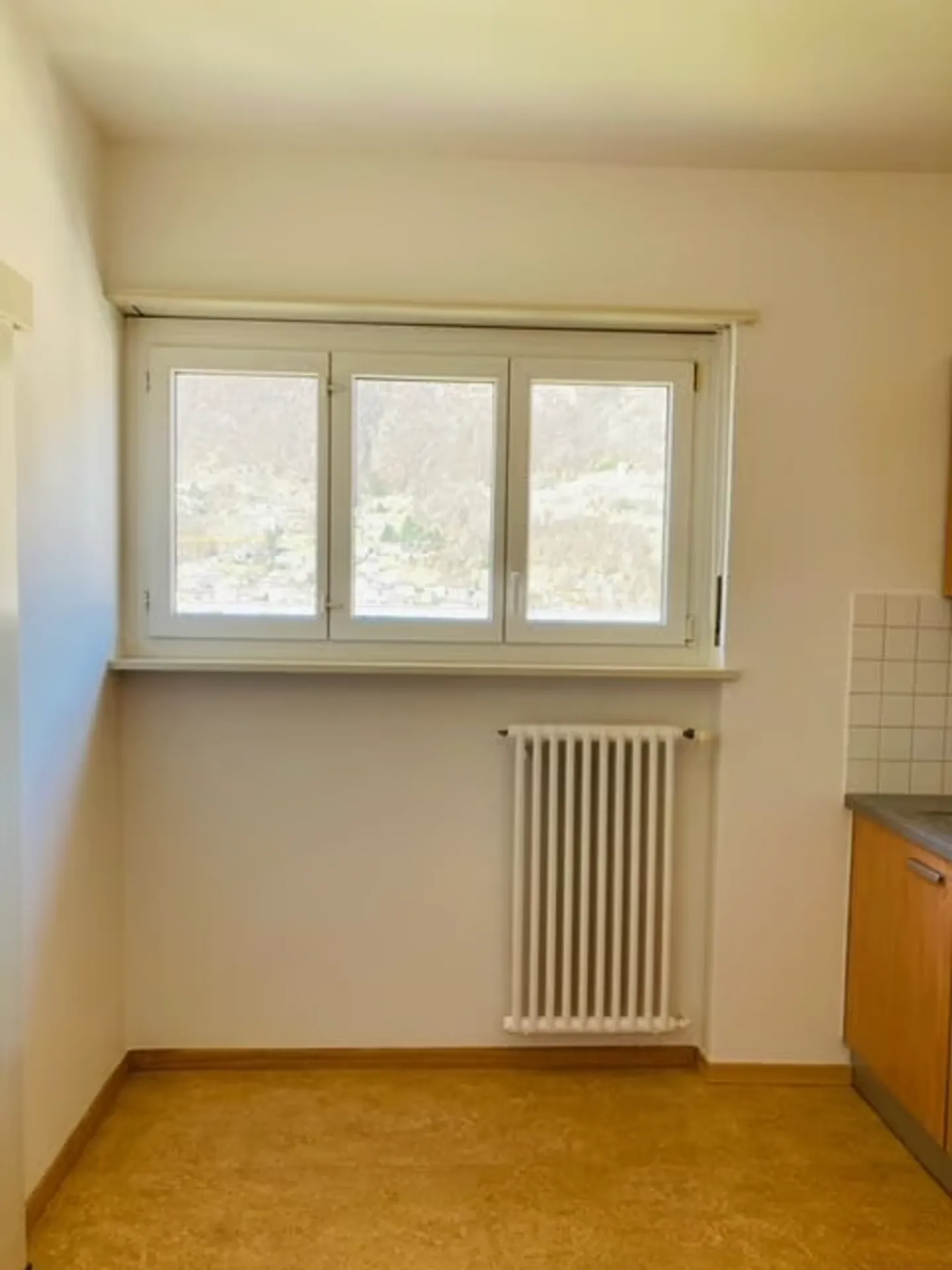 BELLINZONA - zu verkaufen 3,5-Zimmer-Wohnung - Foto 3 von 9