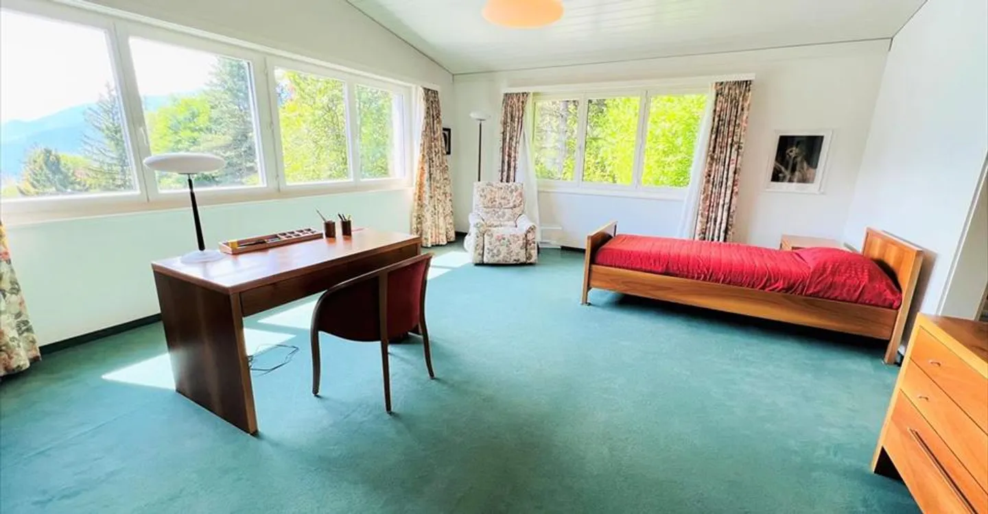 Spacious and bright 16.5 rooms - Magnificent quiet property - Superb view - Very large plot - Photo 5 of 24