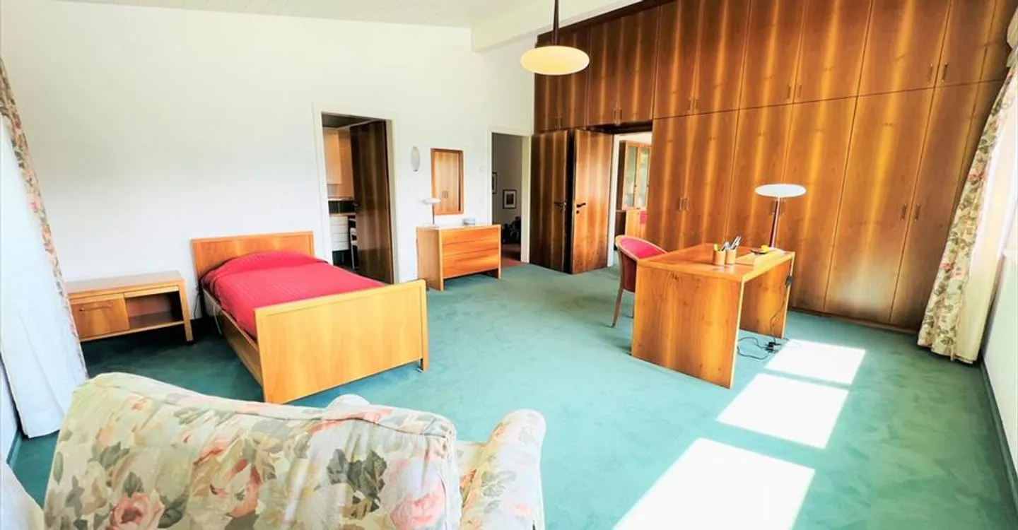 Spacious and bright 16.5 rooms - Magnificent quiet property - Superb view - Very large plot - Photo 6 of 24