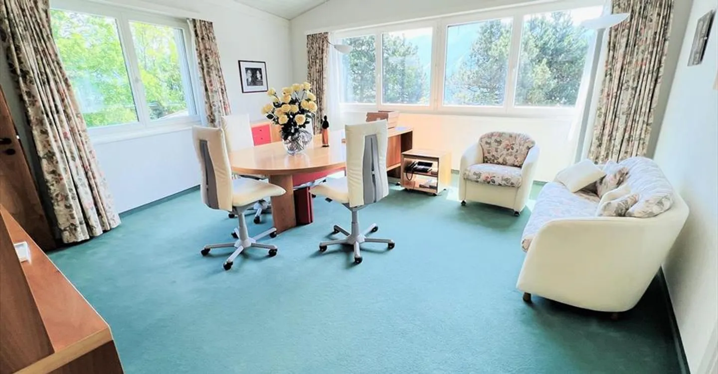 Spacious and bright 16.5 rooms - Magnificent quiet property - Superb view - Very large plot - Photo 7 of 24