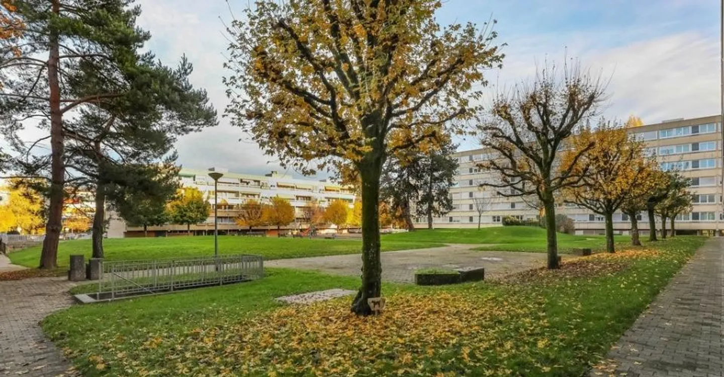 Parcheggio interno sicuro - Posizione ideale - Foto 1 di 3
