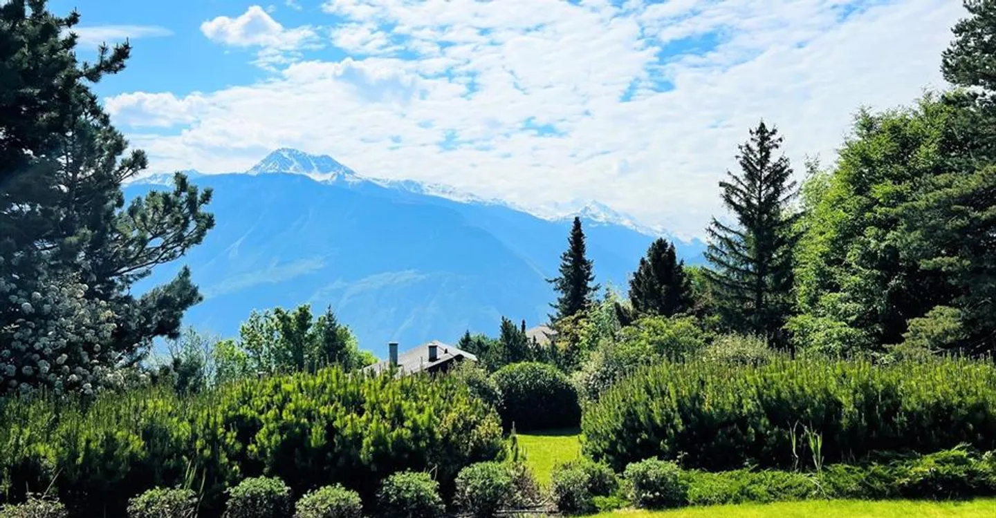 Spacious and bright 16.5 rooms - Magnificent quiet property - Superb view - Very large plot - Photo 22 of 24