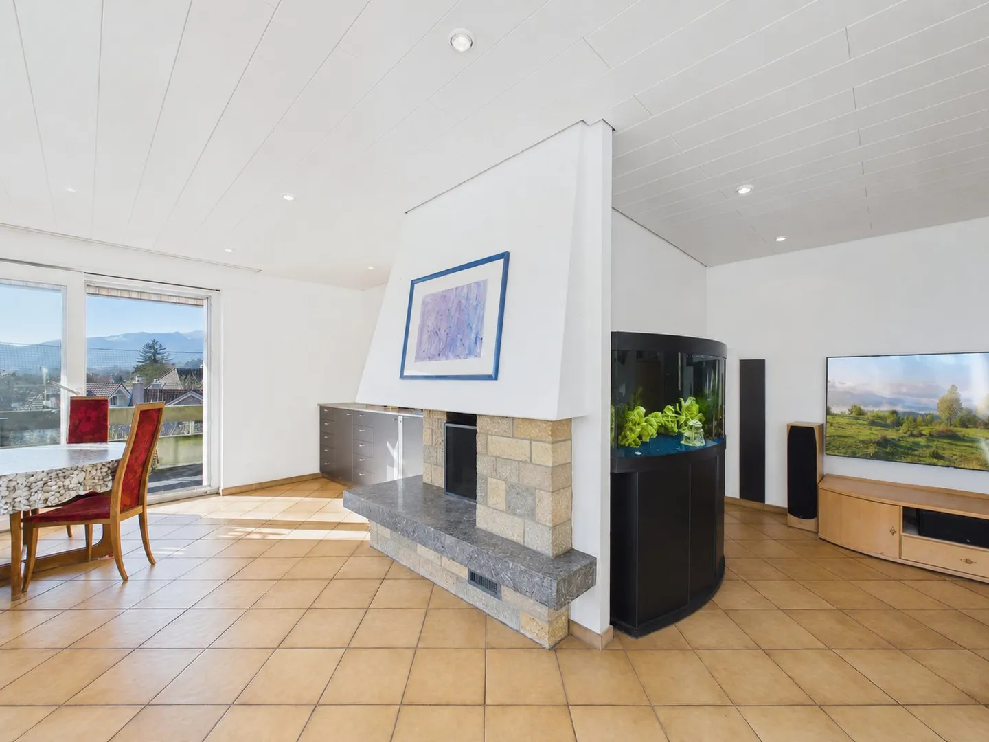 Spacious Penthouse with Rooftop Garden - Photo 5 of 16