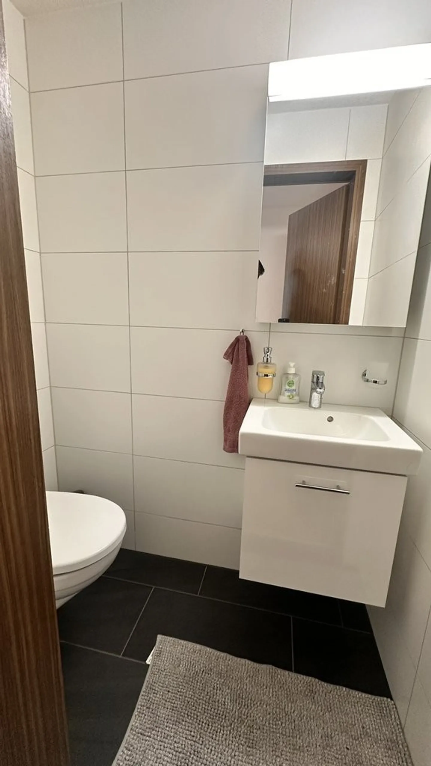 Ihre neue Traumwohnung am Thunersee! - Foto 10 von 12