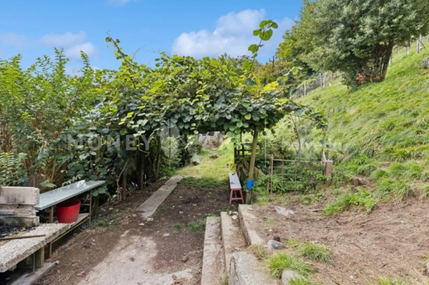 Ampia casa unifamiliare con 12 stanze in una posizione tranquilla e a contatto con la natura - Foto 8 di 10