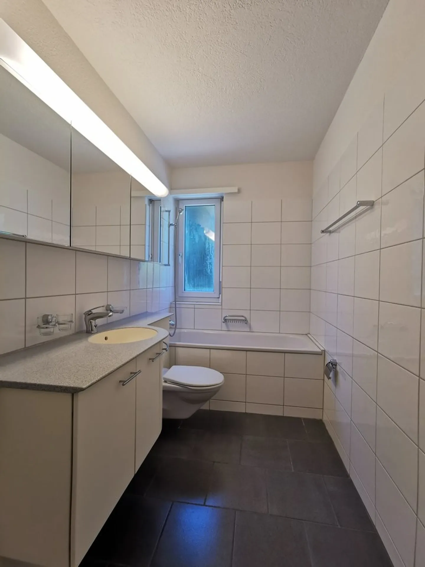 Vivre au bord du lac de Zurich - Photo 3 sur 6