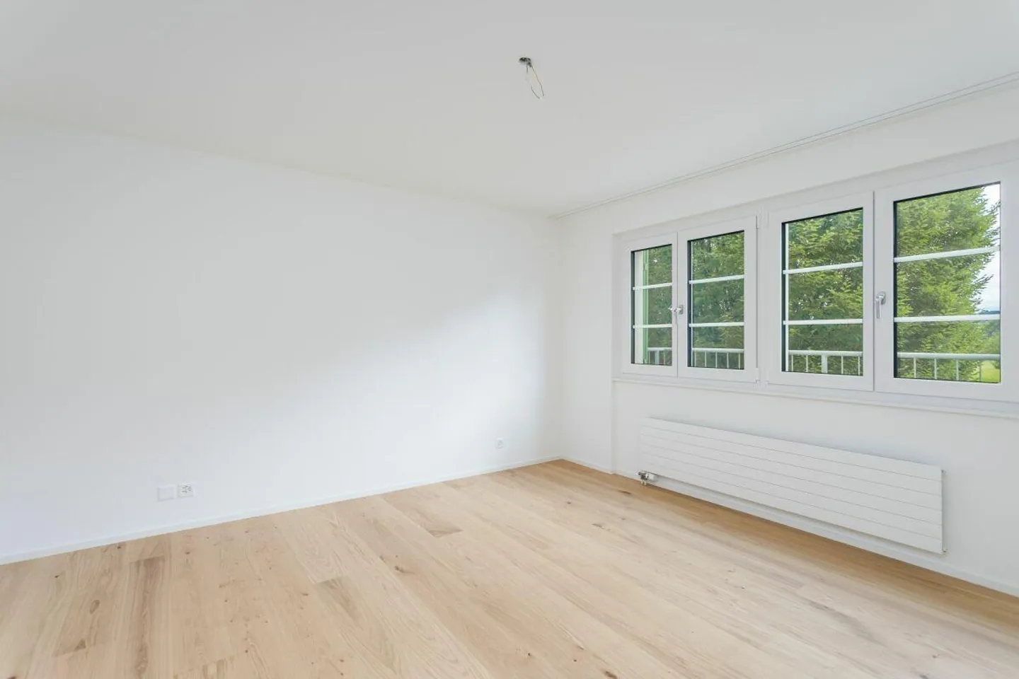 Midori | ZH - Photo 5 of 8