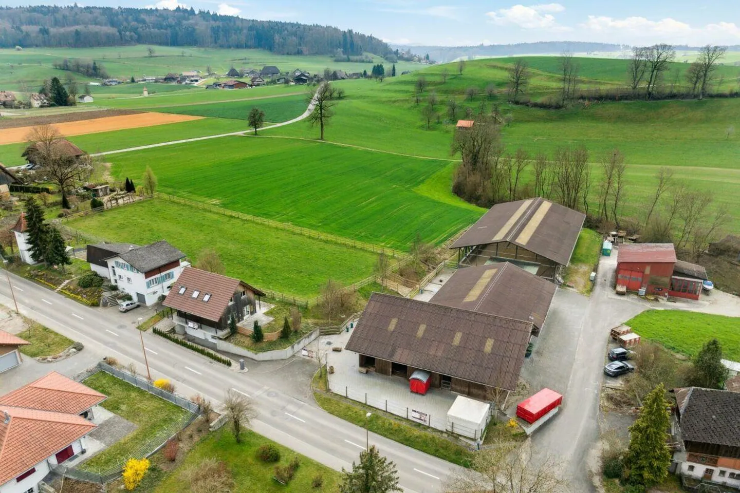 Proprietà equestre con maneggio e casa residenziale - Foto 5 di 24
