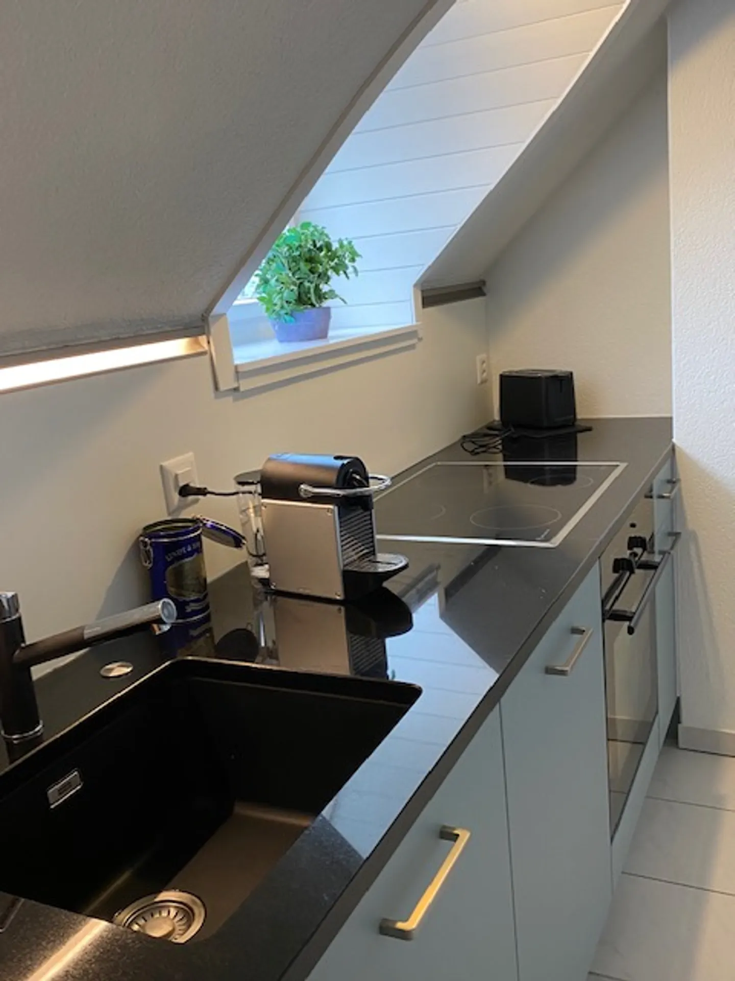 Atemberaubendes Penthouse in Horgen - Foto 4 von 4
