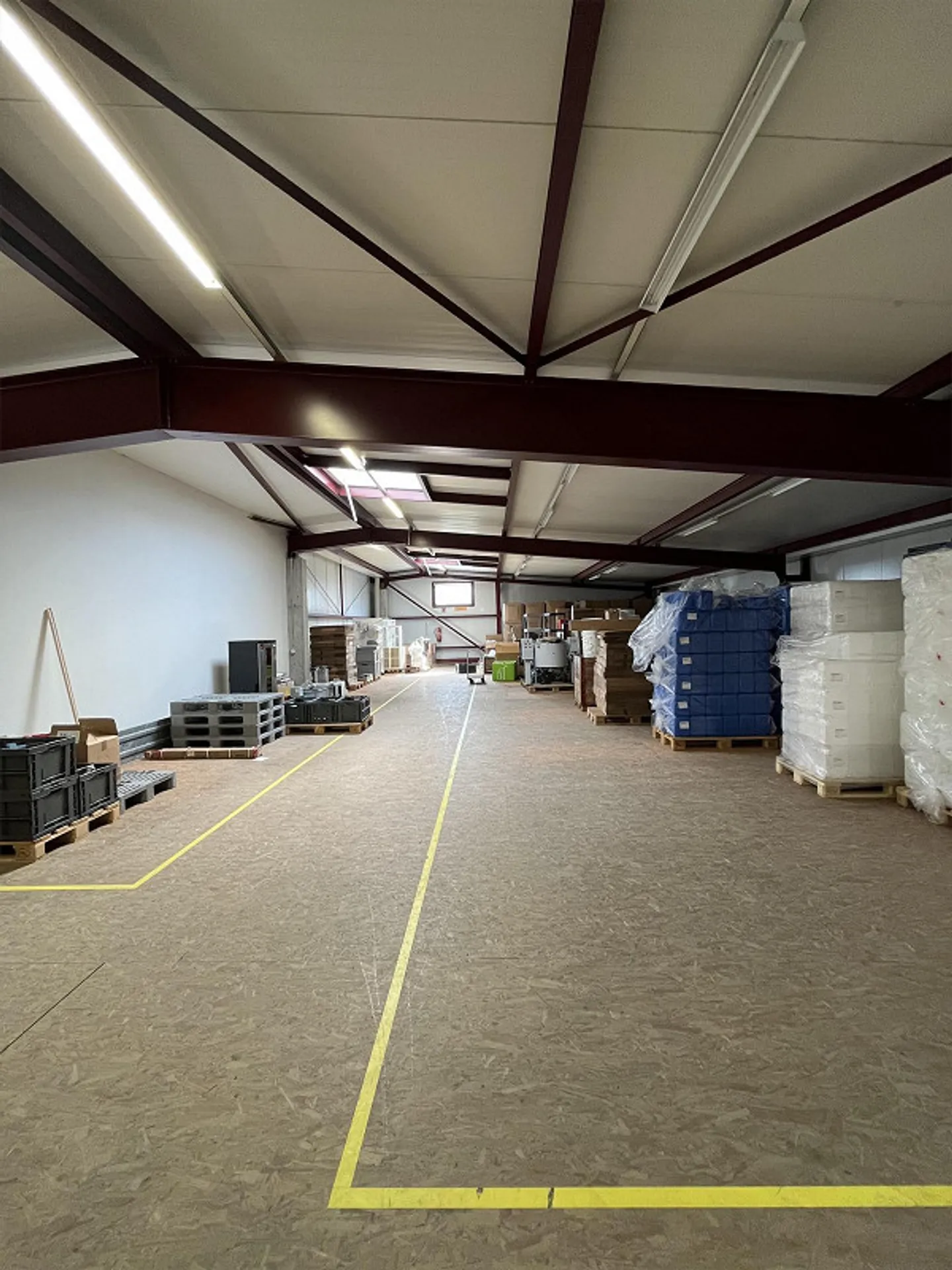 Modern industrial hall with versatile usage options in Brugg - Photo 6 of 9