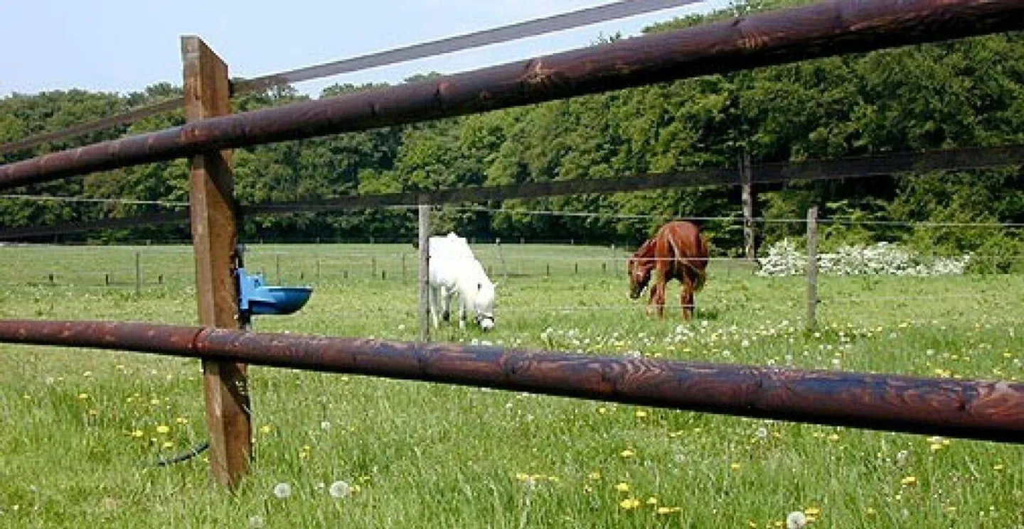 Proprietà equestre con appartamento/stanza singola e maneggio - Foto 5 di 6