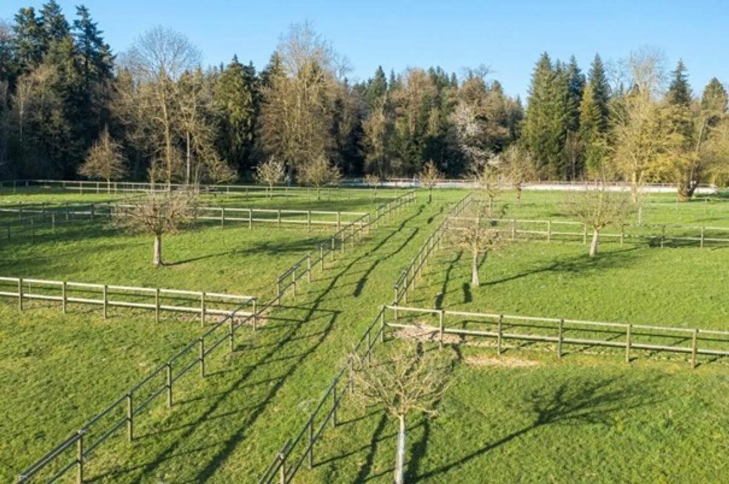 Proprietà equestre con appartamento/stanza singola e maneggio - Foto 6 di 6
