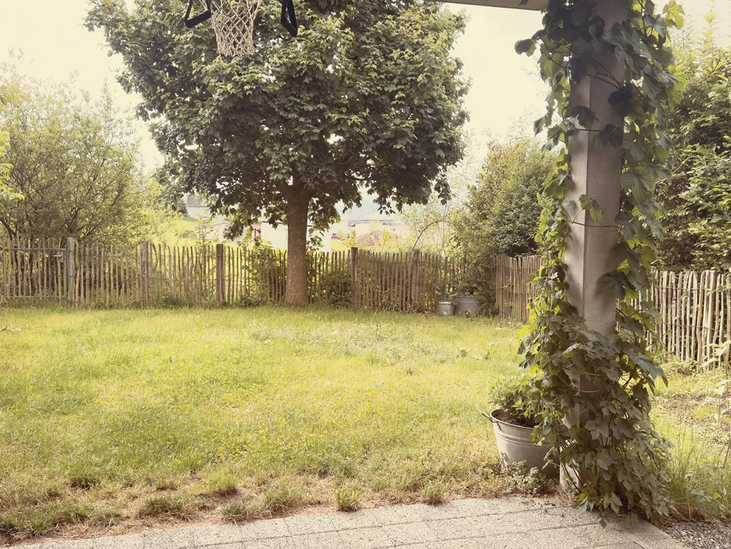 2.5 Room Garden Apartment - Photo 1 of 9