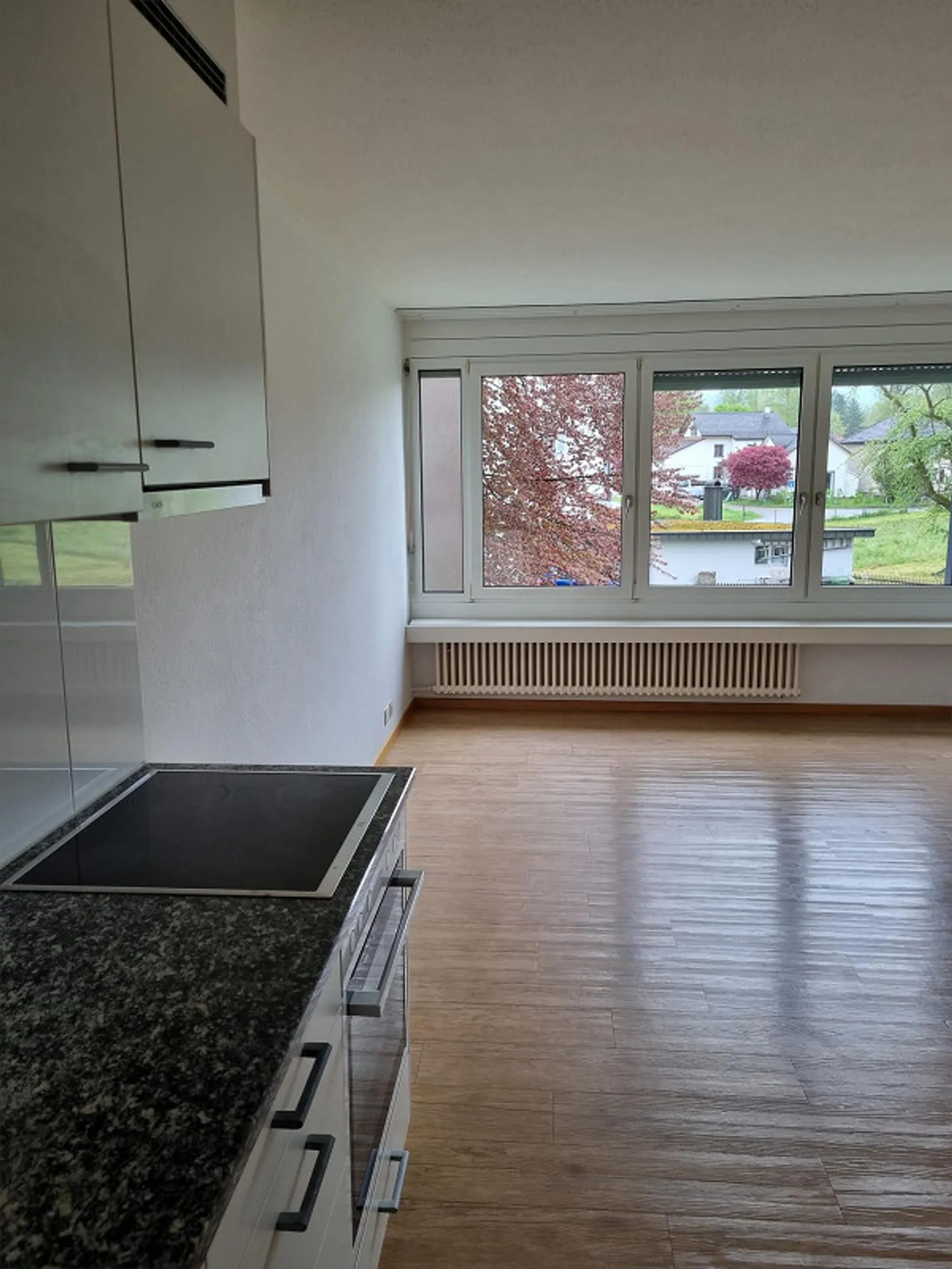 1-room apartment for rent in Niederuzwil - Photo 4 of 7