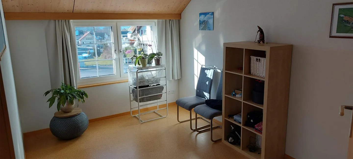 Appartamento con galleria 4,5 stanze - Foto 3 di 10