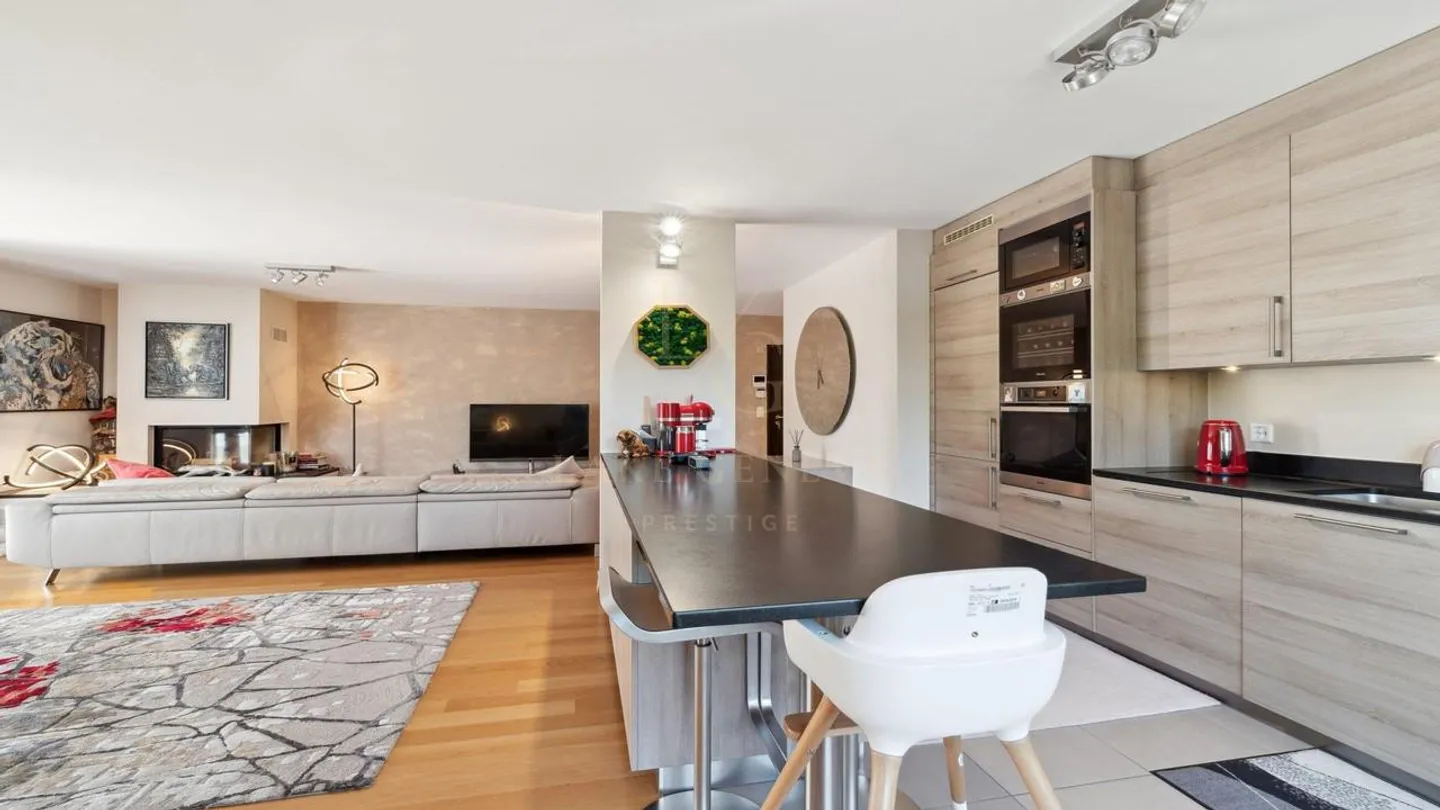 Schöne Wohnung im Herzen von Saconnex d'Arve - Foto 1 von 11