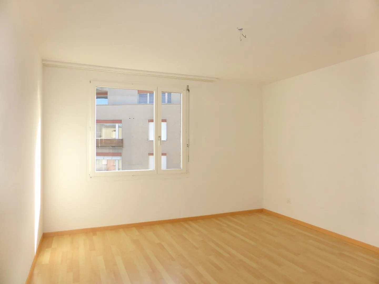 In una posizione tranquilla vicino al bordo della foresta - Foto 5 di 13