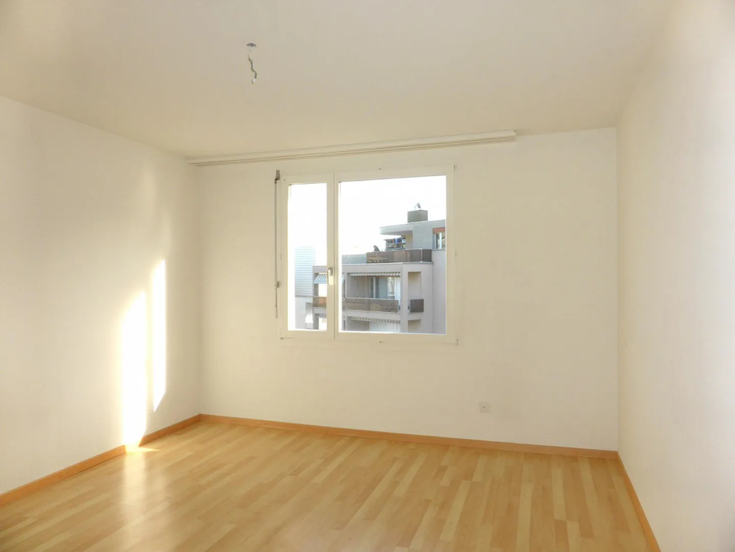 In una posizione tranquilla vicino al bordo della foresta - Foto 7 di 13