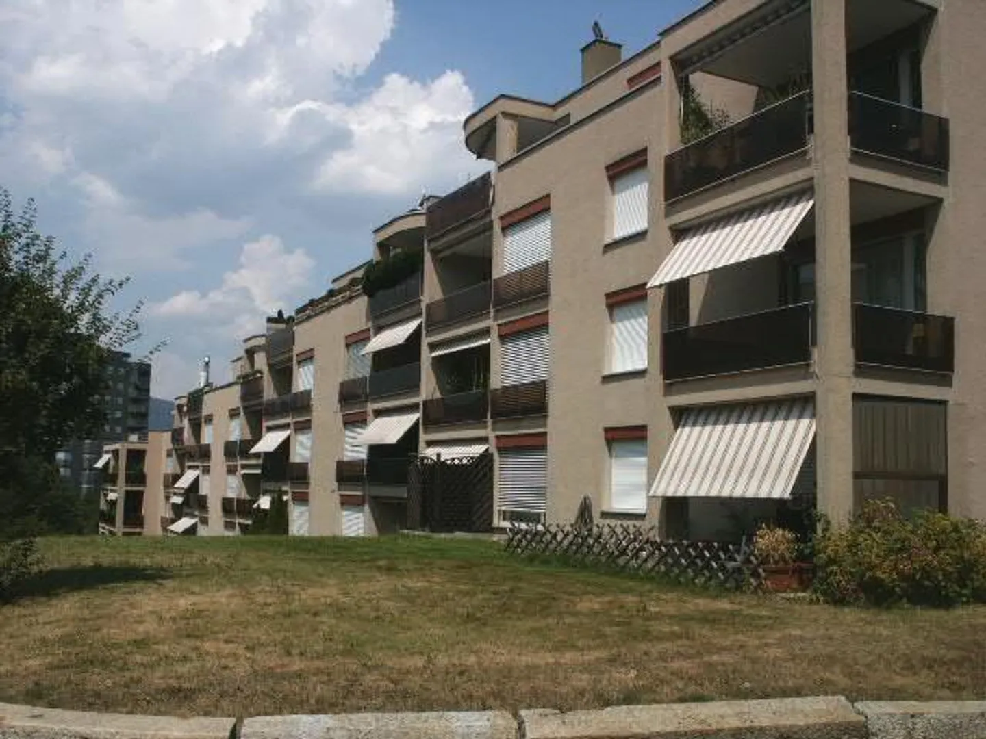 In una posizione tranquilla vicino al bordo della foresta - Foto 12 di 13