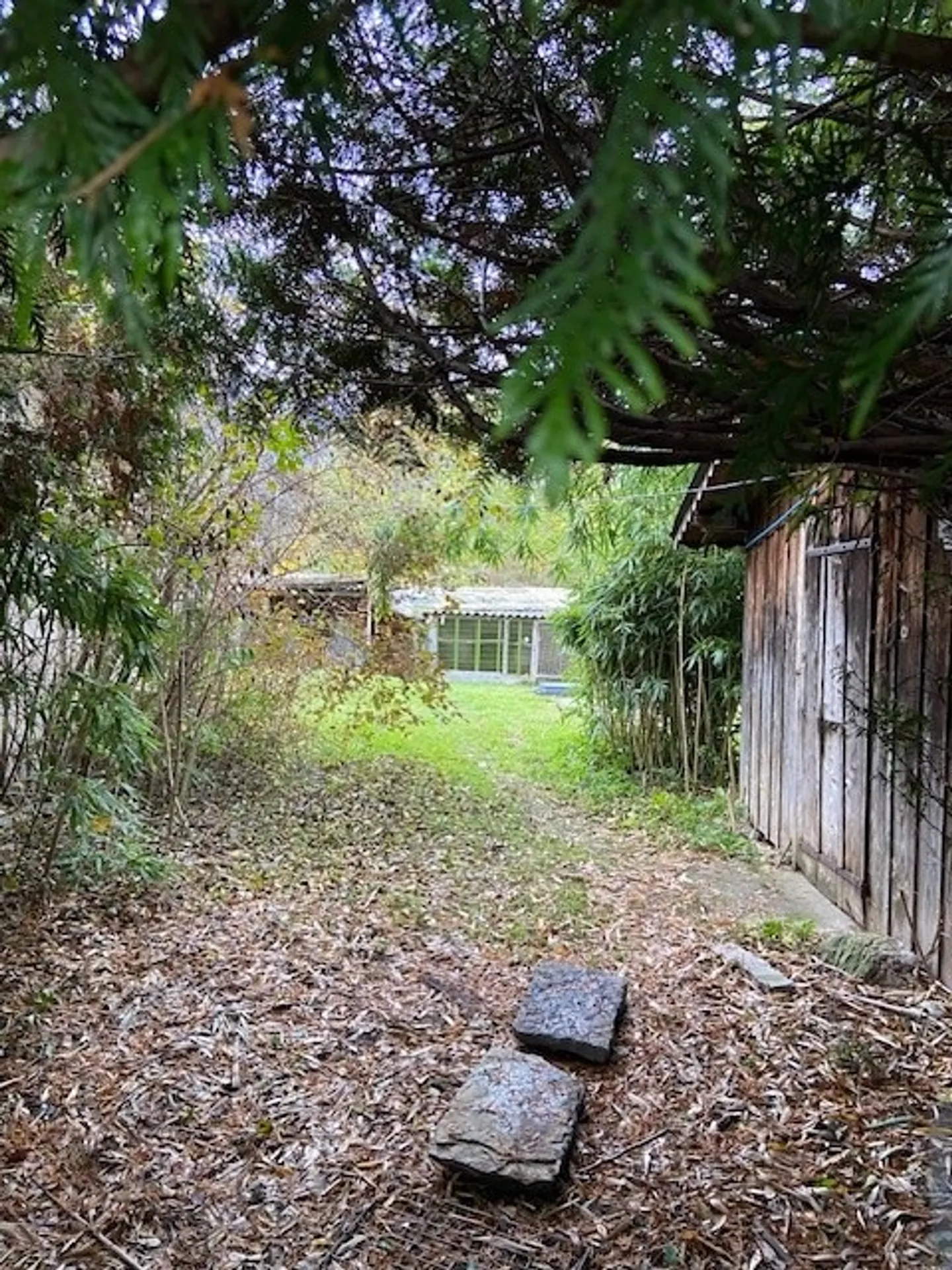 House with 15 rooms - Photo 6 of 7