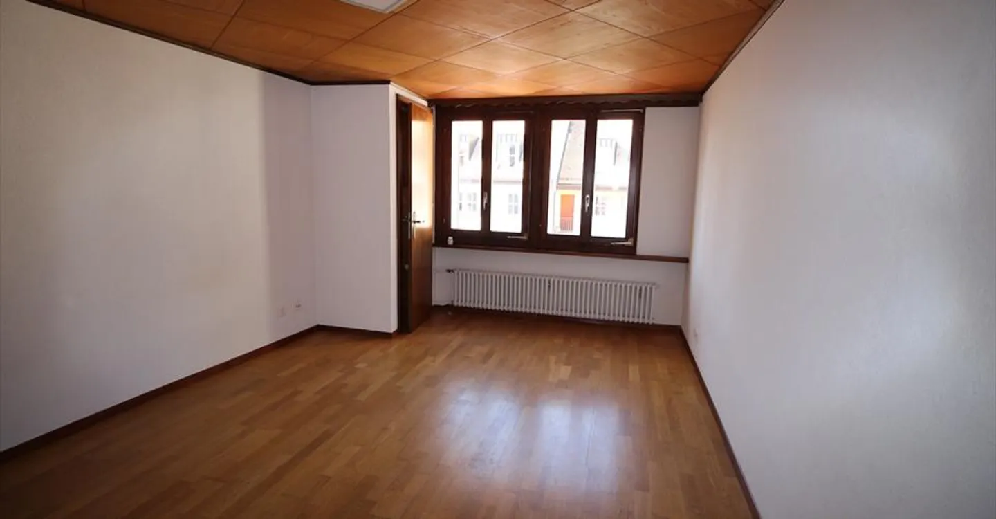 Immeuble historique avec 3 appartements - Photo 3 sur 17