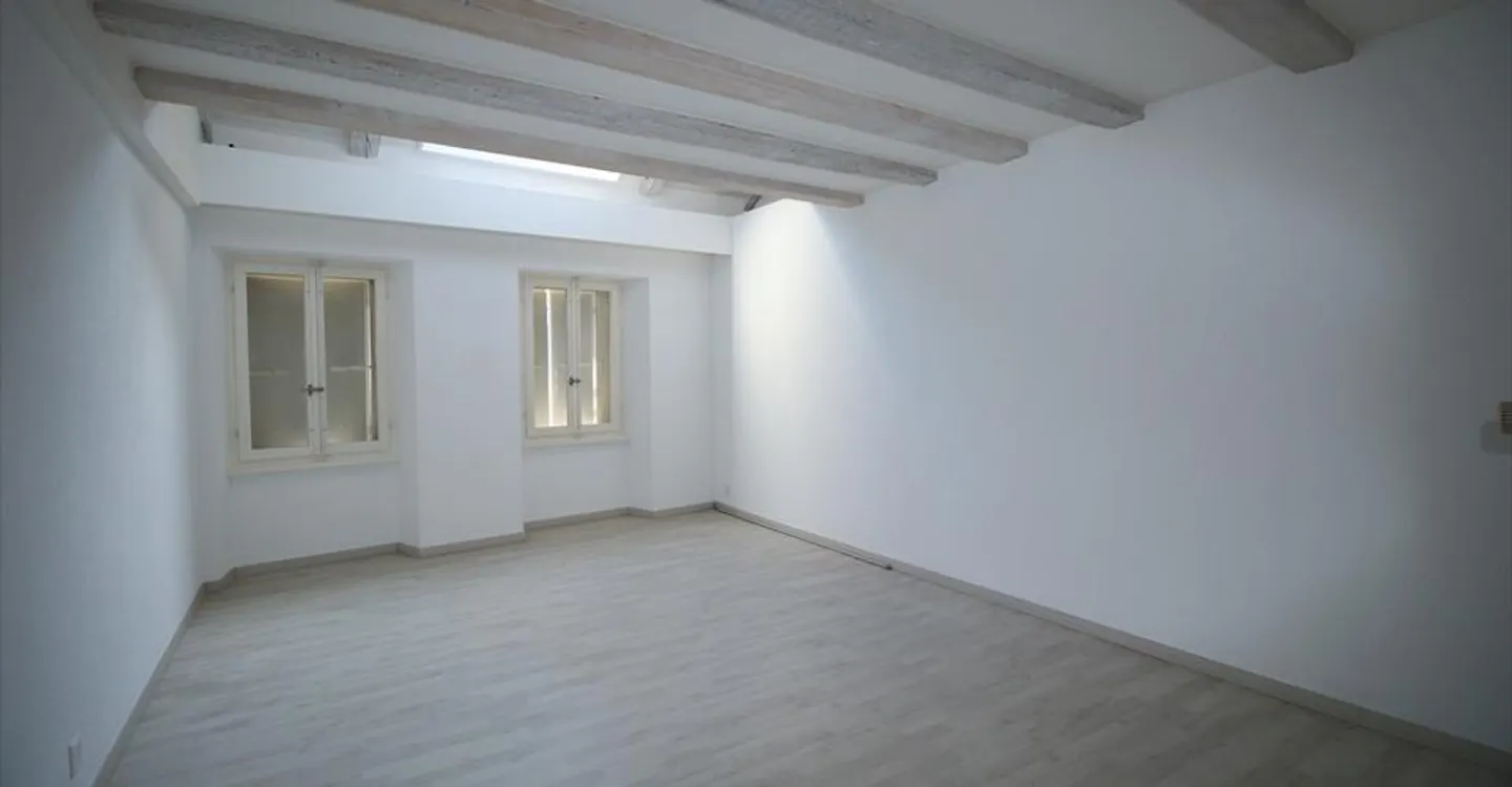 Immeuble historique avec 3 appartements - Photo 4 sur 17