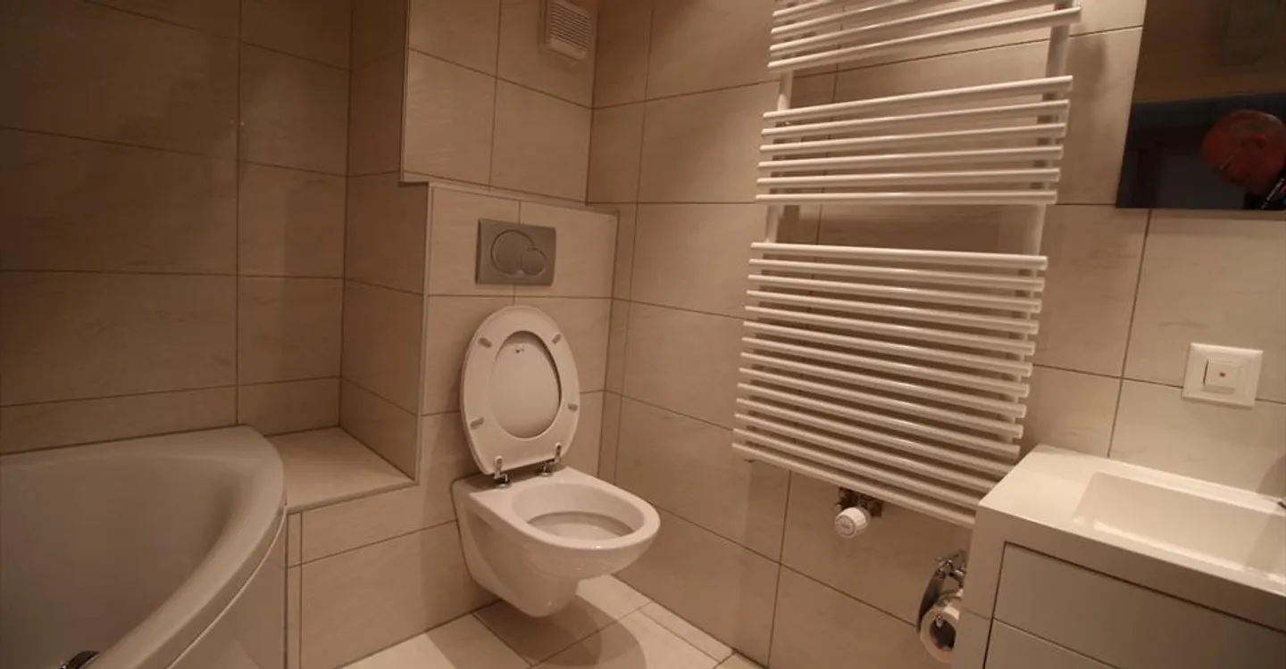 Immeuble historique avec 3 appartements - Photo 5 sur 17
