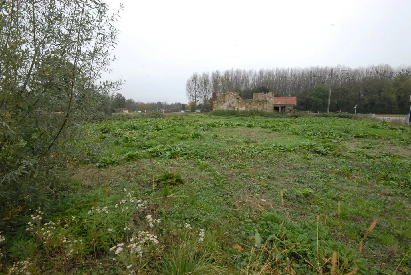 Immobile in vendita - Foto 4 di 6