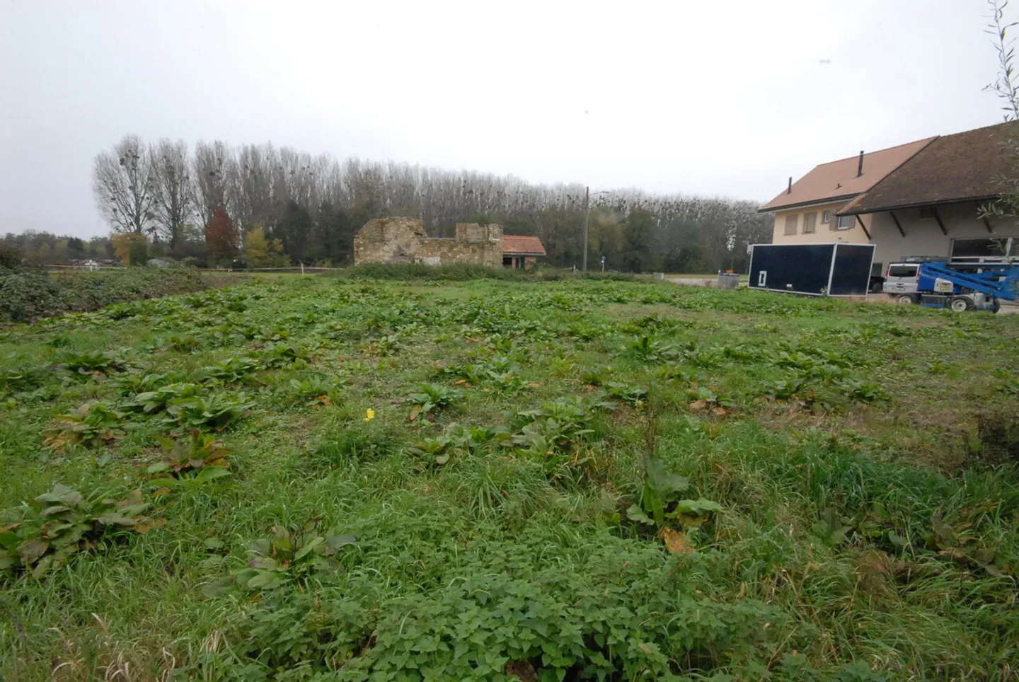 Immobile in vendita - Foto 5 di 6