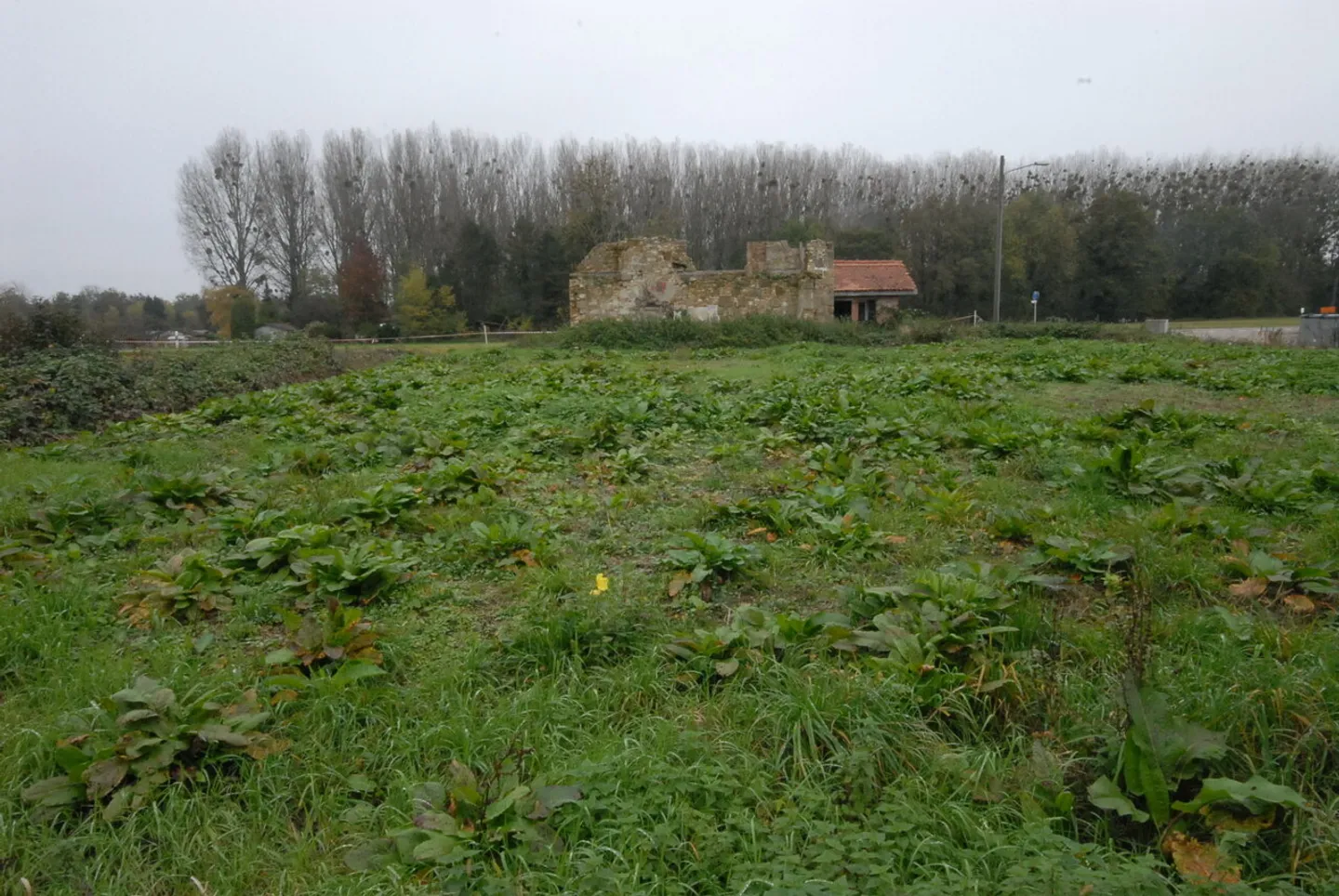 Immobile in vendita - Foto 6 di 6