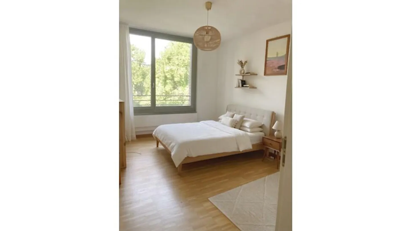 APPARTAMENTO 3½ STANZE A BASEL - WETTSTEIN, ARREDATO, TEMPORANEO - Foto 5 di 7