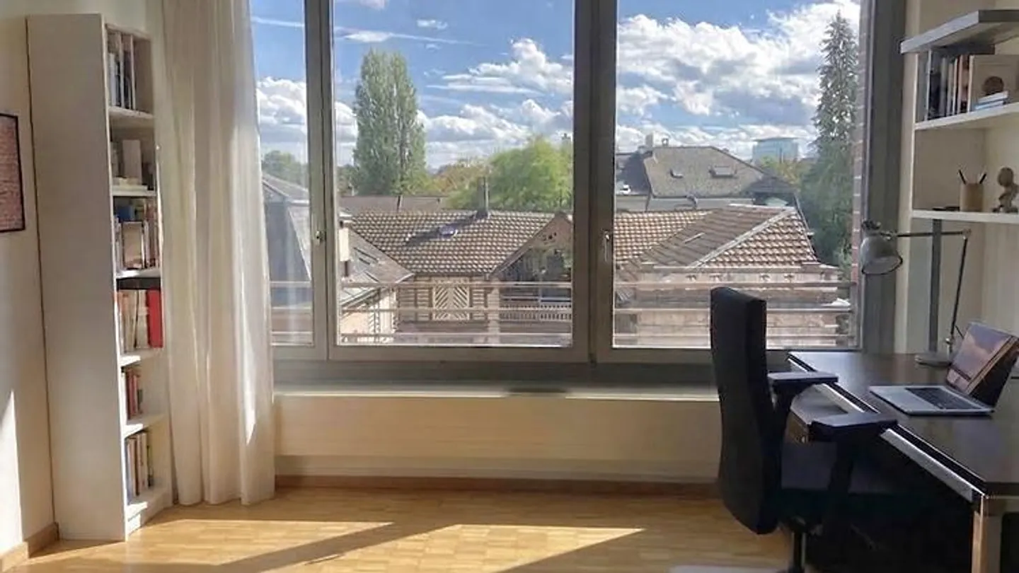 APPARTAMENTO 1½ STANZA A BASEL - WETTSTEIN, ARREDATO, TEMPORANEO - Foto 2 di 5