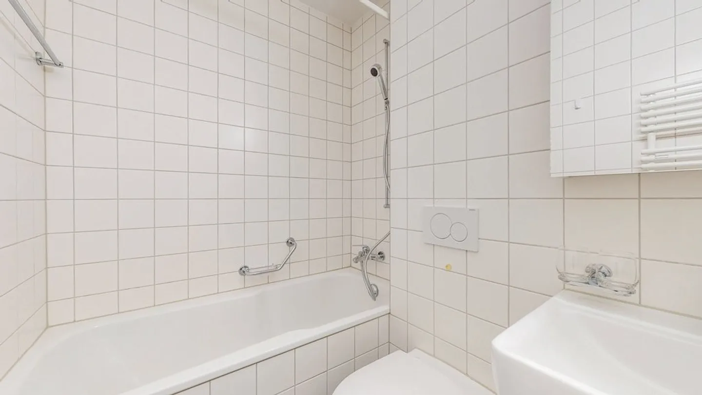 Modern Apartment in Muttenz - Photo 7 of 10