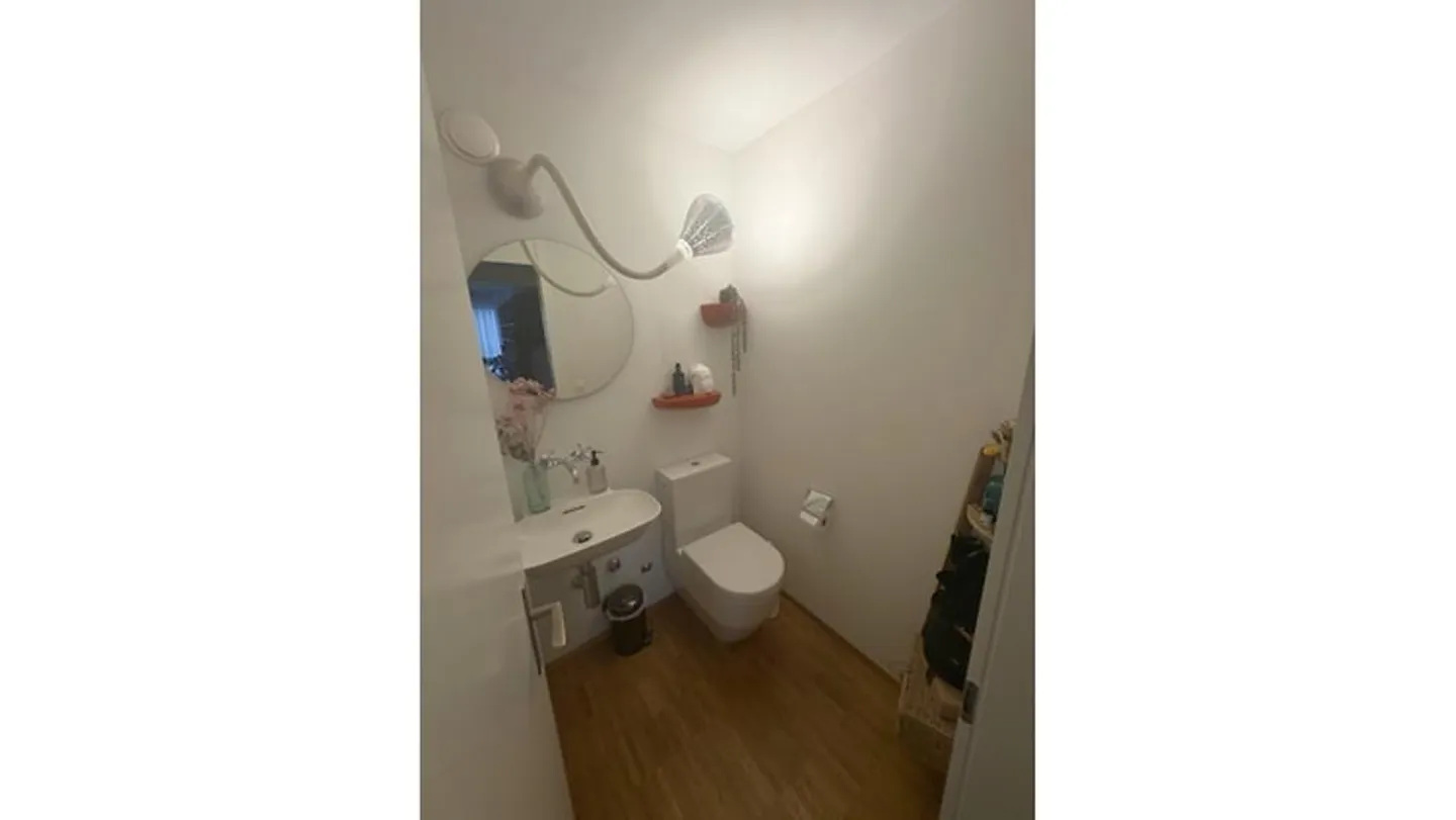 3½ ROOM APARTMENT IN BERN - MURI, FURNISHED, TEMPORARY - Photo 8 of 10