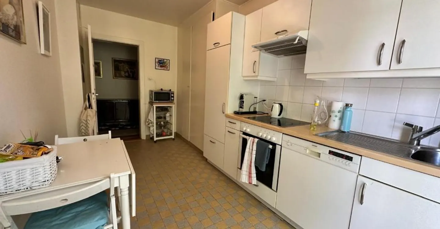 Incantevole appartamento di 5 stanze vicino al Parc Geisendorf - Foto 3 di 6