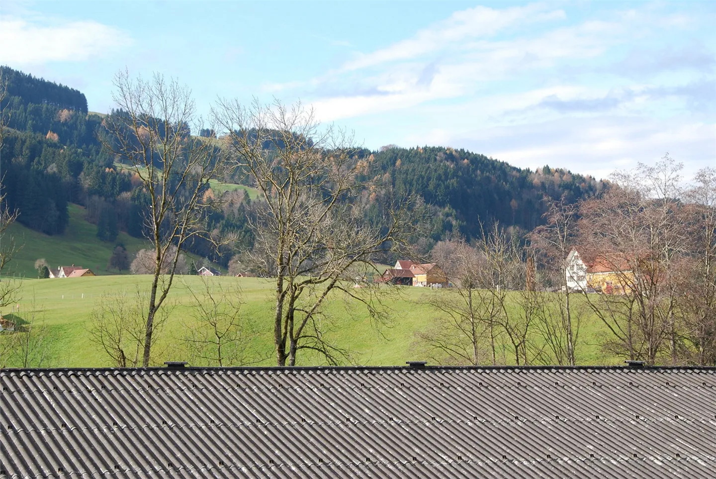 Luxuswohnung in Steinegg - Foto 3 von 17