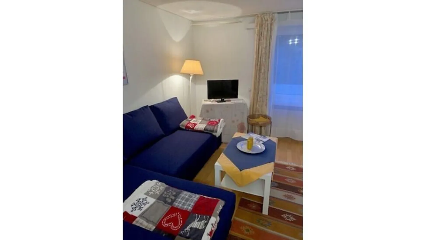 2½ ROOM APARTMENT IN GWATT (THUN), FURNISHED, TEMPORARY - Photo 2 of 14