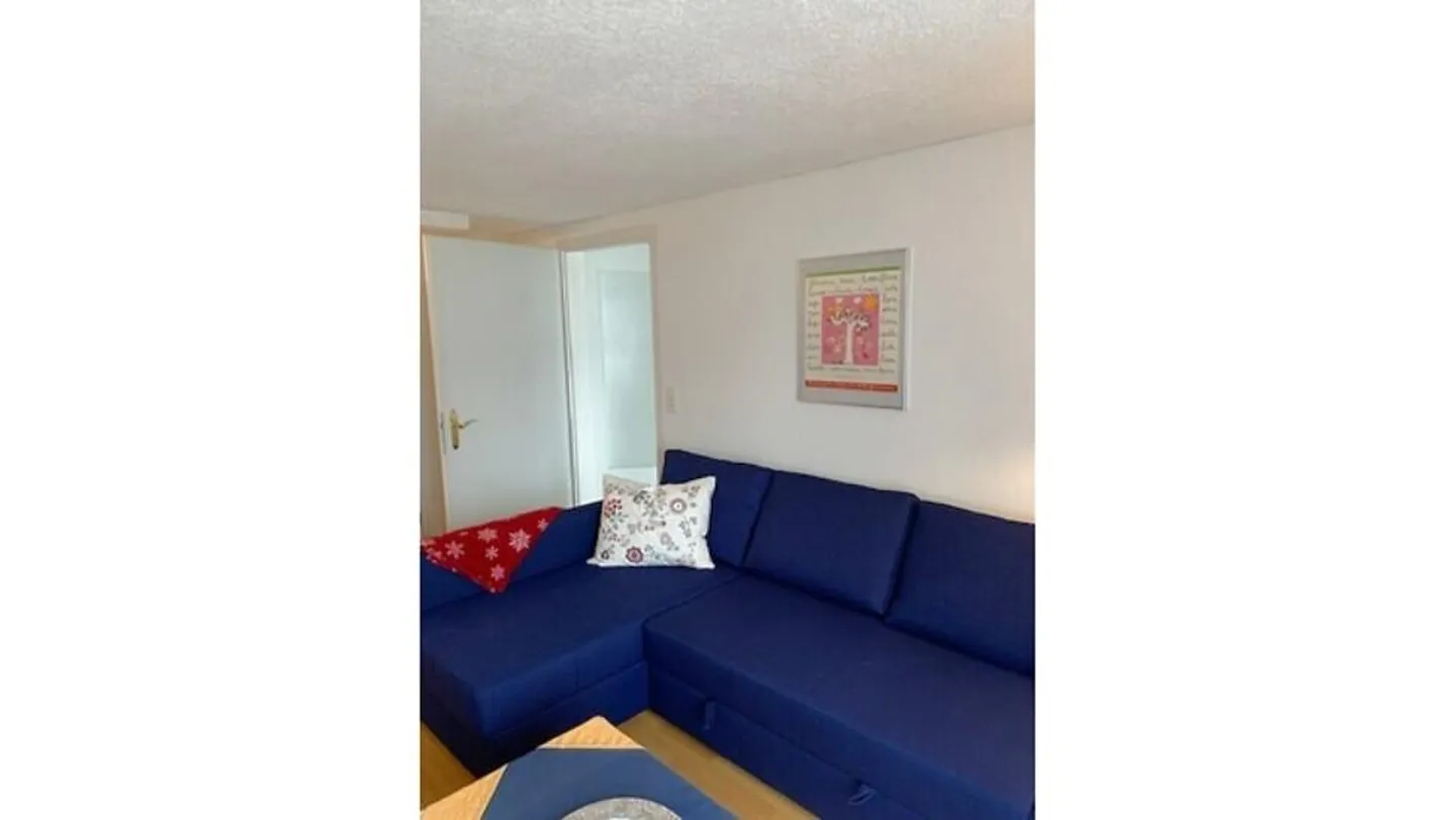 2½ ROOM APARTMENT IN GWATT (THUN), FURNISHED, TEMPORARY - Photo 3 of 14