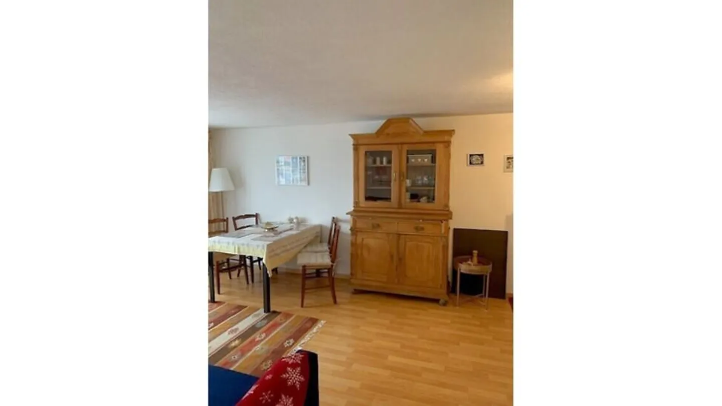 2½ ROOM APARTMENT IN GWATT (THUN), FURNISHED, TEMPORARY - Photo 4 of 14