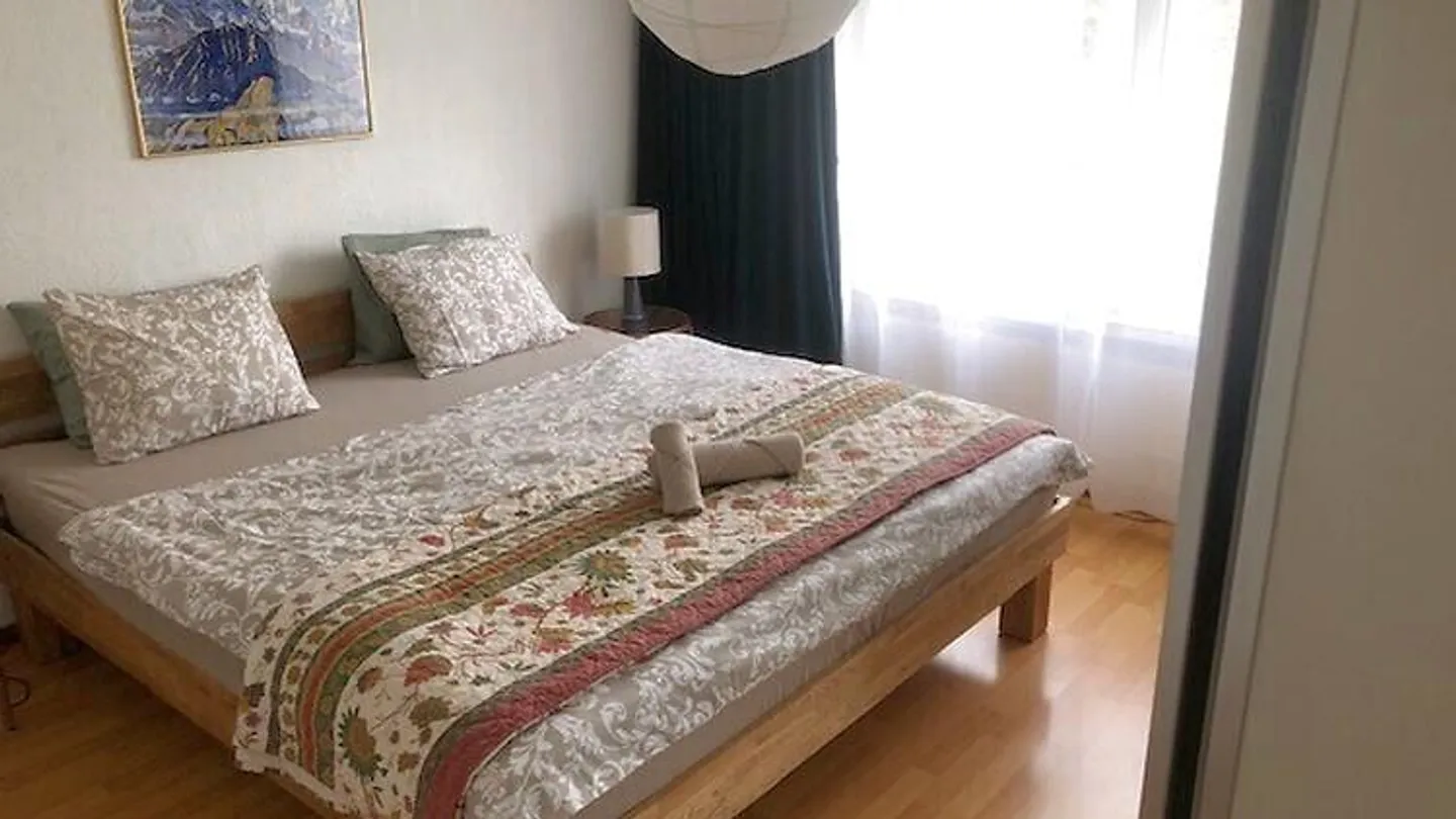 2½ ROOM APARTMENT IN GWATT (THUN), FURNISHED, TEMPORARY - Photo 7 of 14