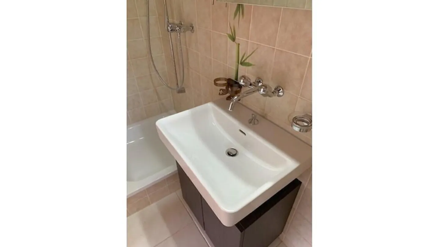 2½ ROOM APARTMENT IN GWATT (THUN), FURNISHED, TEMPORARY - Photo 9 of 14