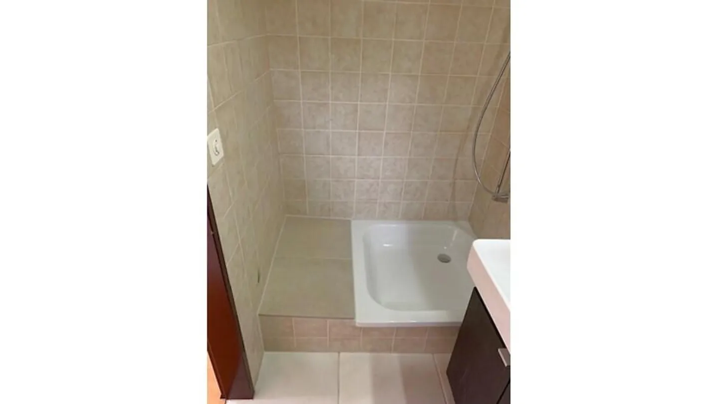 2½ ROOM APARTMENT IN GWATT (THUN), FURNISHED, TEMPORARY - Photo 10 of 14